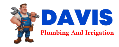 Trusted plumber in CLEMONS